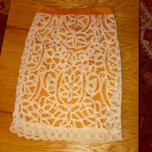 Anthropologie Pencil Skirt